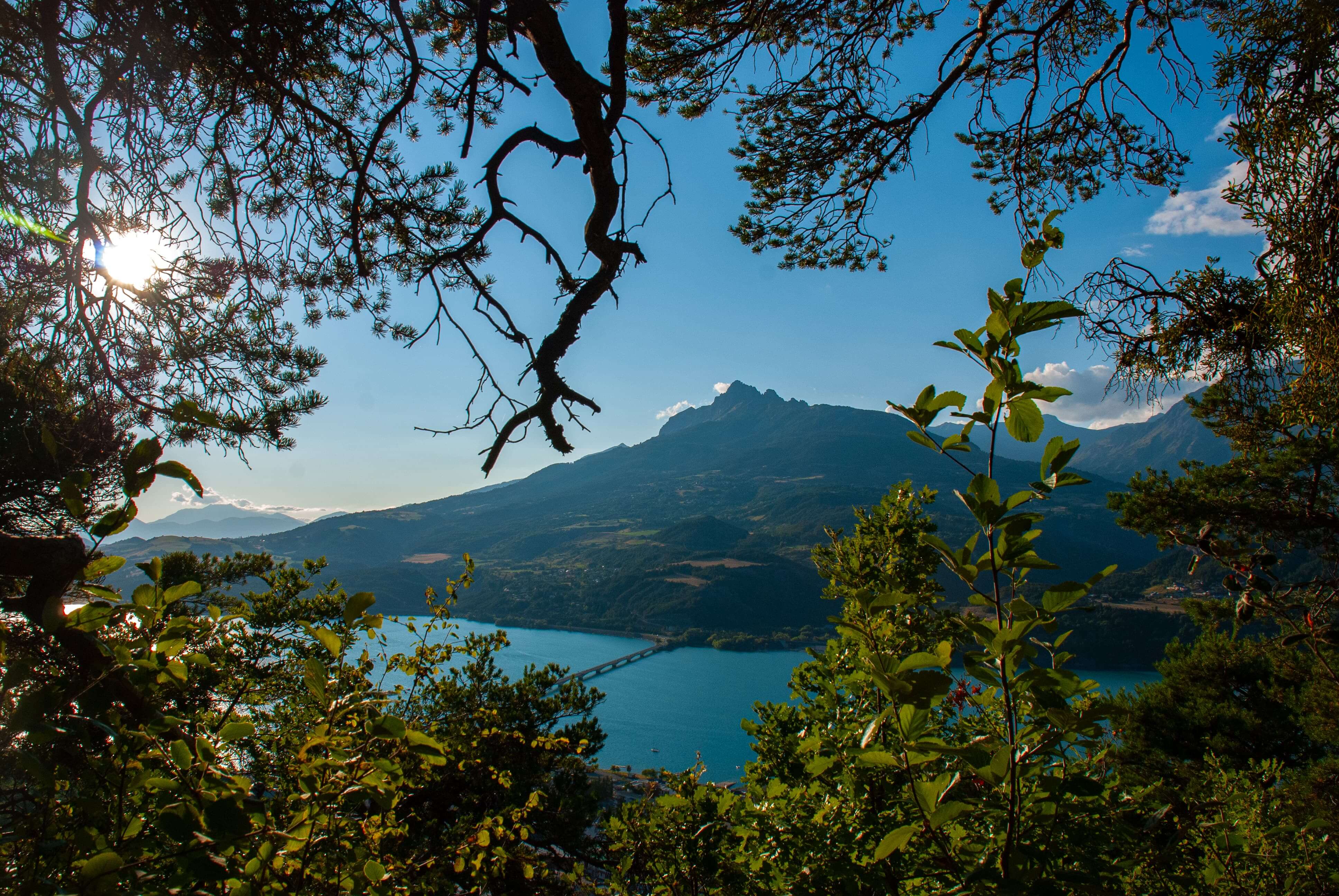 Photographie de Thomas Colmant