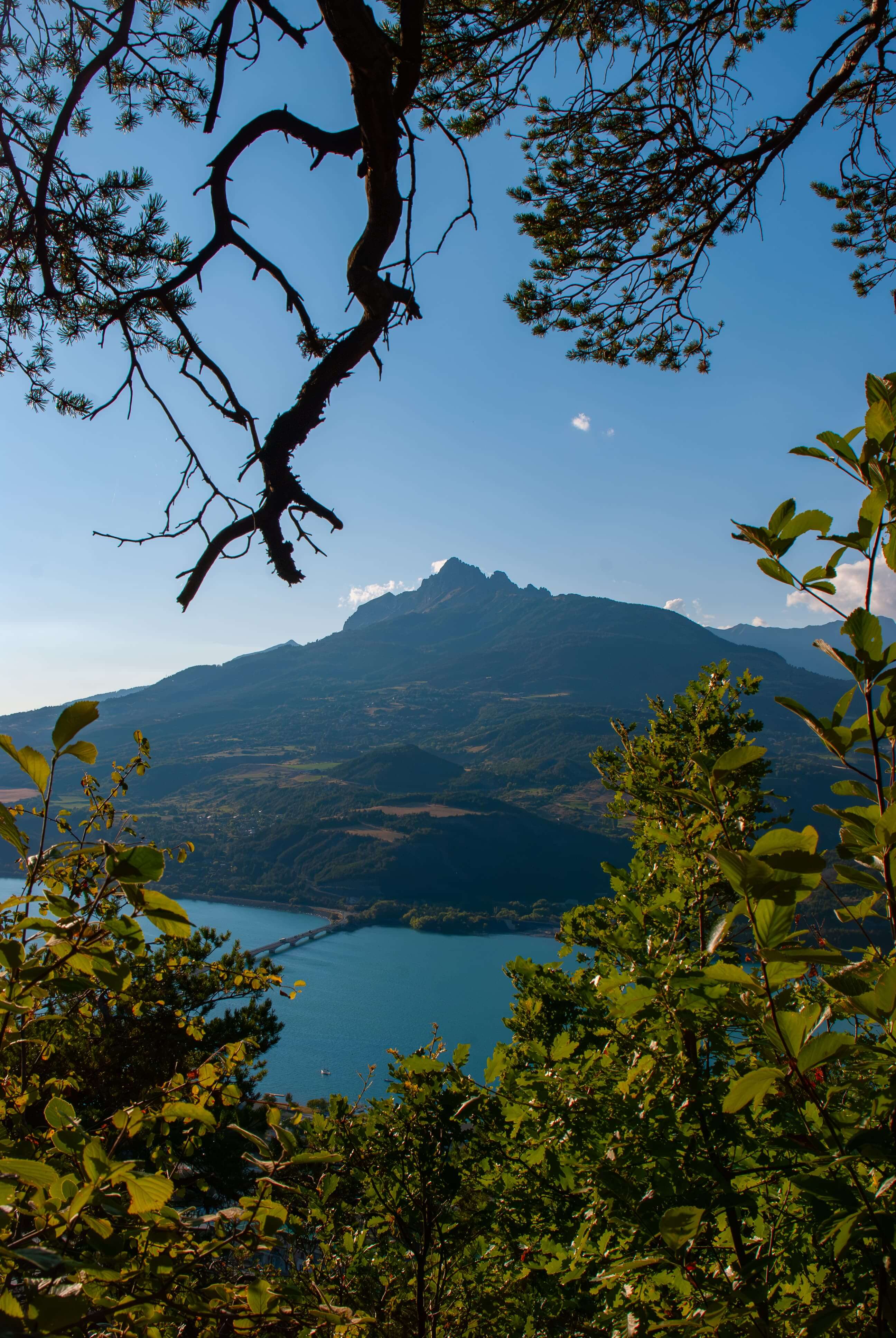 Paysage
