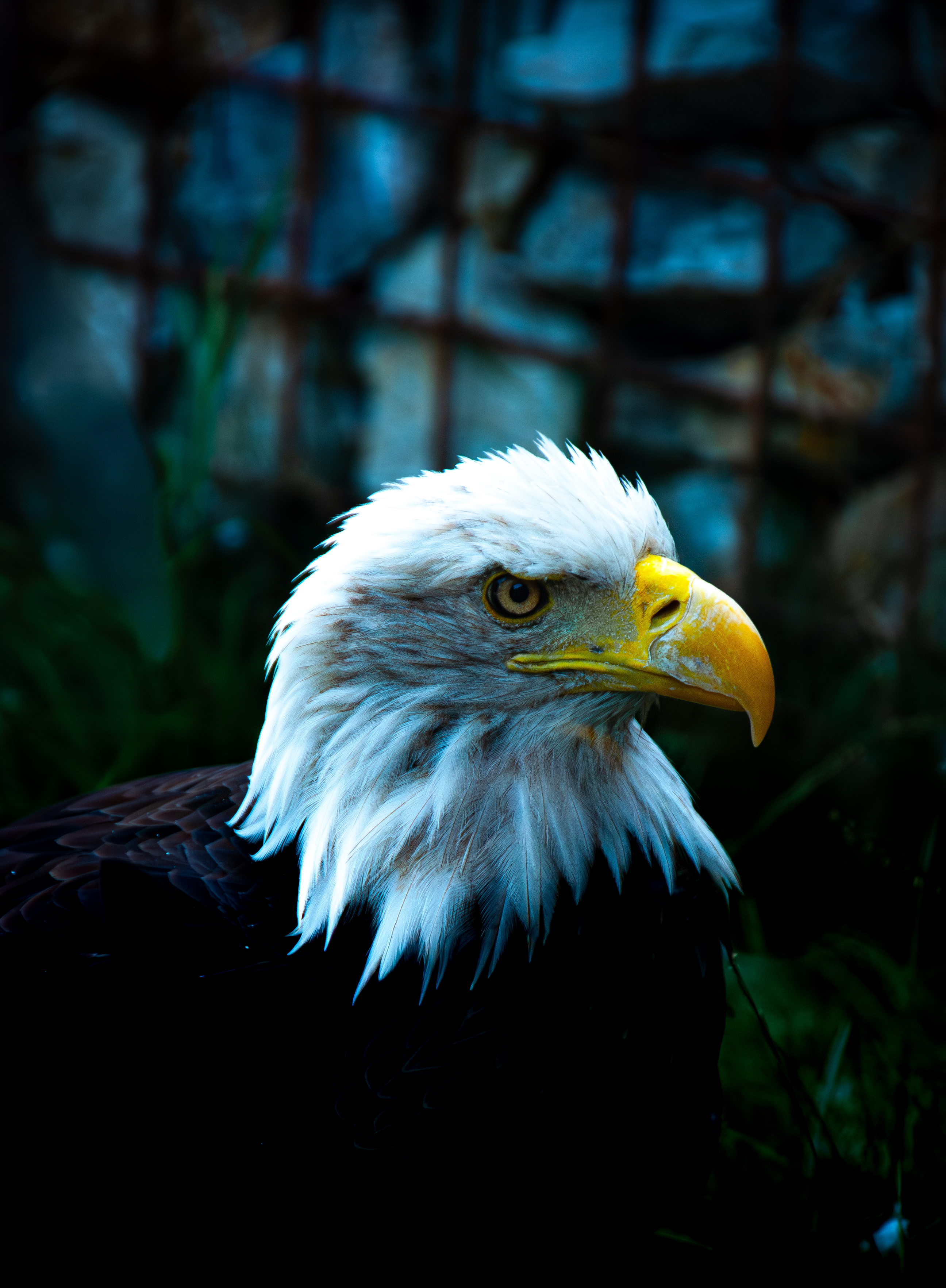 Animalière